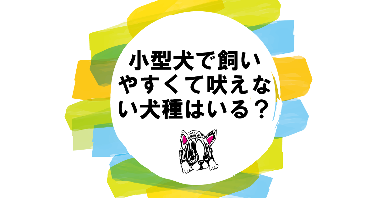 小型犬で飼いやすくて吠えない犬種はいる？吠えない５犬種を紹介