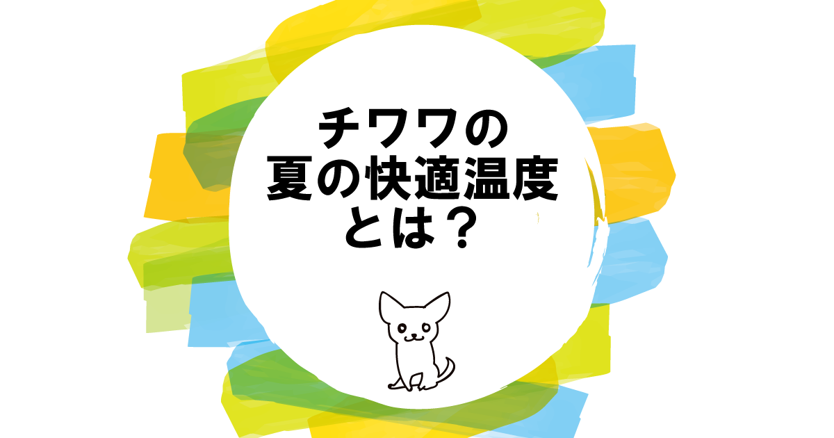 チワワの夏の快適温度とは？夏に適正な室内温度つための5つ対策