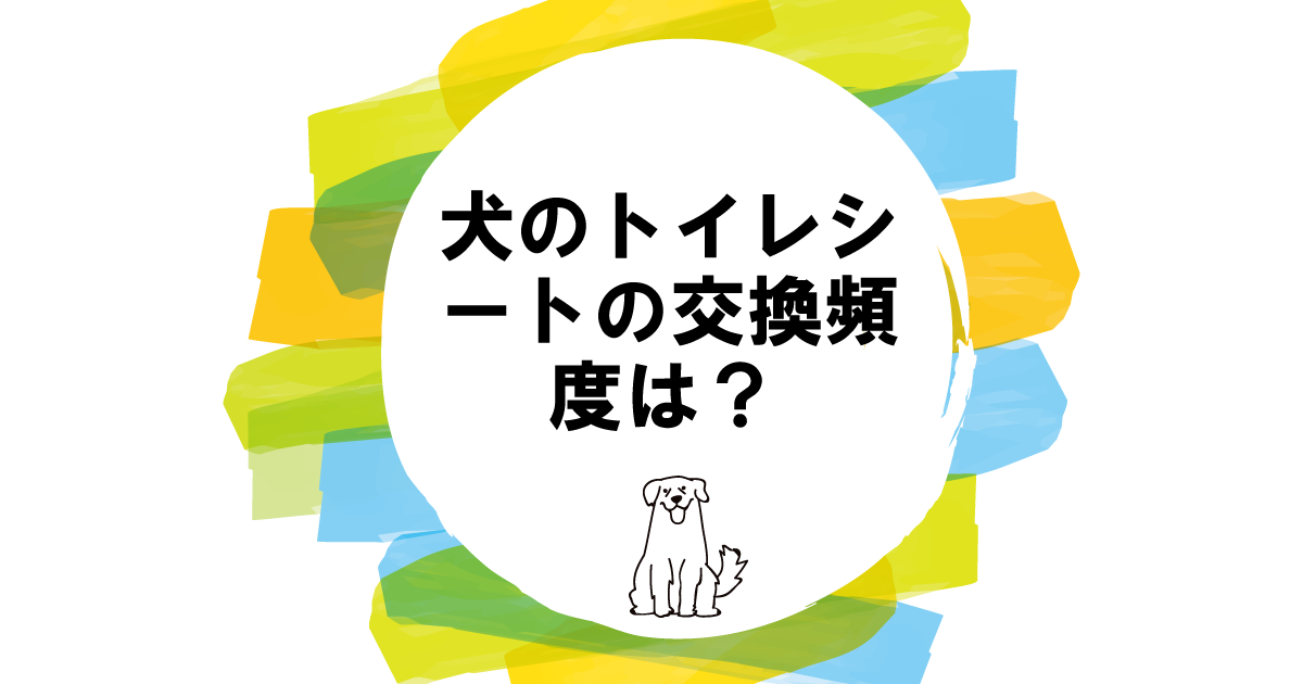 犬のトイレシートは何回で変える？適切な交換頻度とは？毎回変える方がいい？