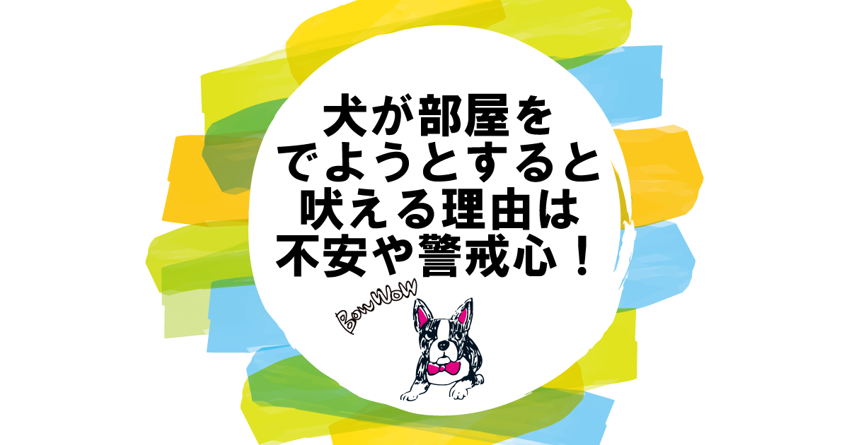 犬が部屋を出ようとすると吠える理由は不安や警戒心！対策方法を解説