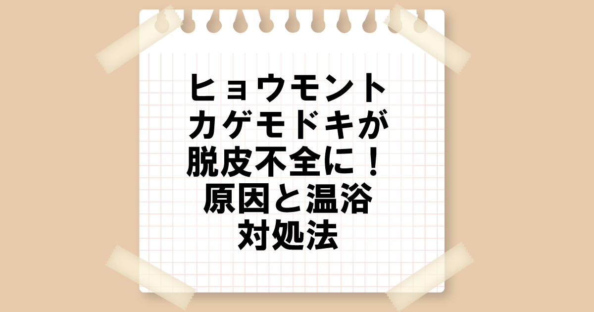 ヒョウモントカゲモドキ(レオパ)が脱皮不全に！原因と温浴対処法