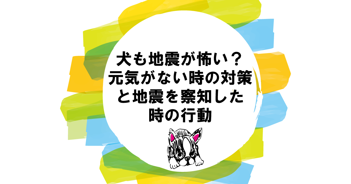 犬も地震が怖い？元気がない時の対策と犬が地震を察知した時の行動