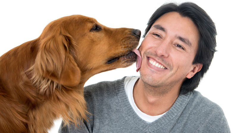 犬は久しぶりに会った人に喜んだ！覚えています