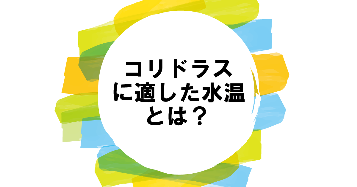 コリドラスに適した水温とは？適正温度と最低水温｜ヒーターの必要性