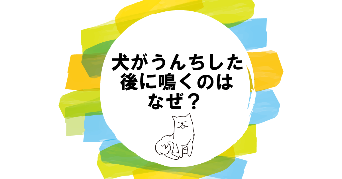 犬がうんちした後に鳴くのはなぜ？理由と対処法｜鳴き方に注意！