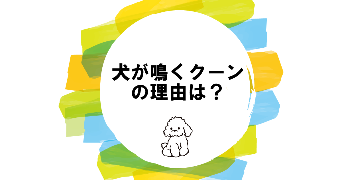 犬が鳴くクーンの理由は？鳴き方で違う理由と対処法