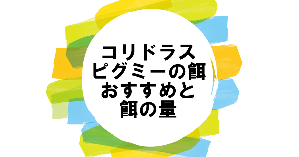 コリドラスピグミーの餌：おすすめと餌の量｜餌を食べない時の対処法