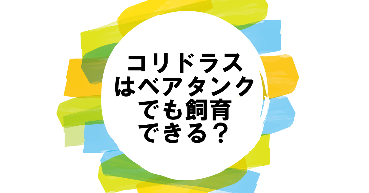 コリドラスはベアタンクでも飼育できる？メリットとデメリットを解説