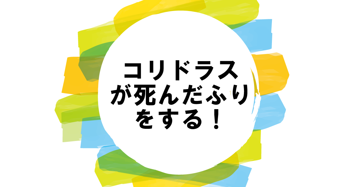 コリドラスが死んだふりをする！ひっくり返る理由と病気を防ぐ対処法