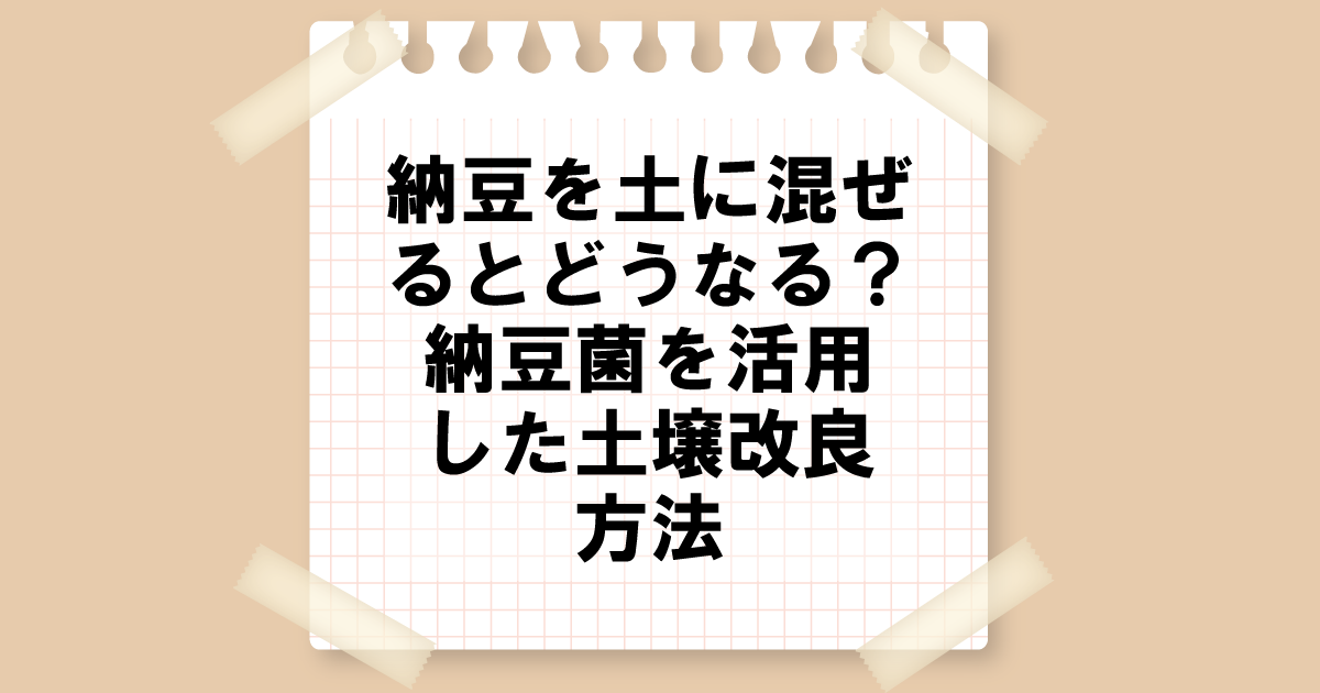 納豆を土に混ぜるとどうなる？ 納豆菌を活用した土壌改良方法