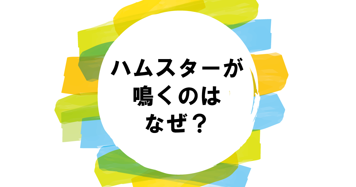 ハムスターが鳴くのはなぜ？主な理由５つ| 鳴き声の意味と心理状態