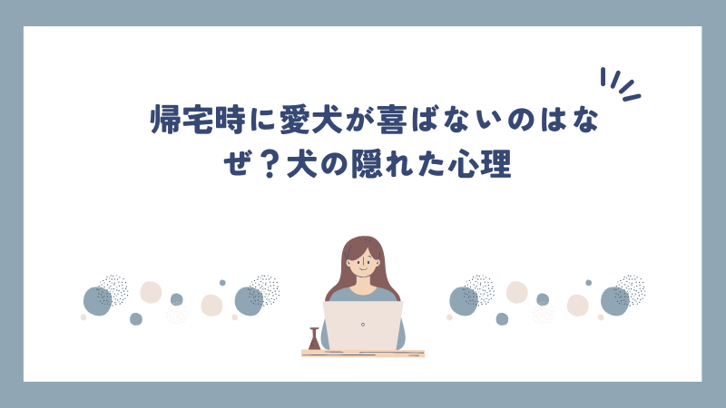 帰宅時に愛犬が喜ばないのはなぜ？犬の隠れた心理