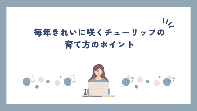 毎年きれいに咲くチューリップの育て方のポイント