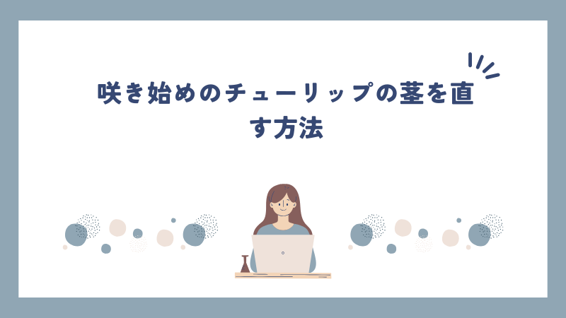 咲き始めのチューリップの茎を直す方法