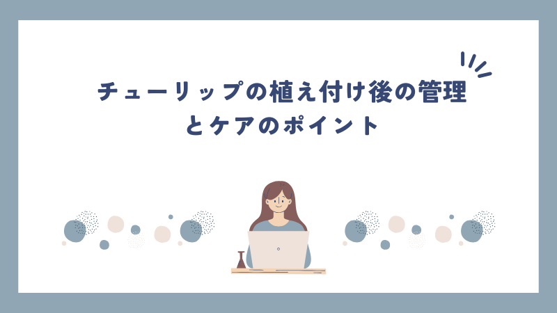 チューリップの植え付け後の管理とケアのポイント