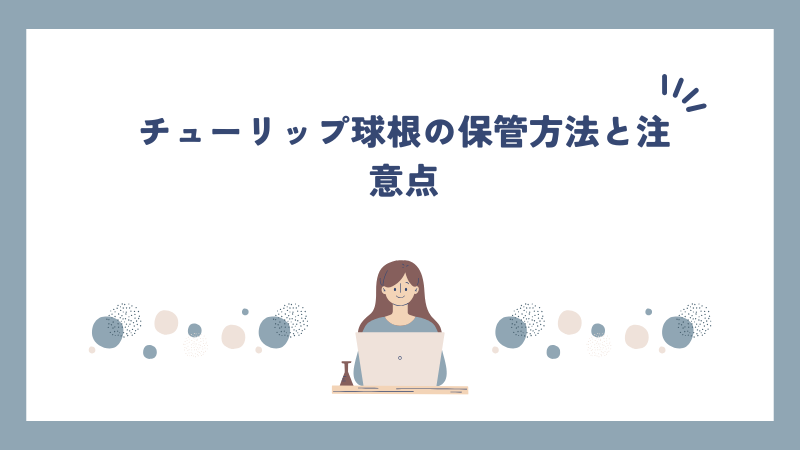 チューリップ球根の保管方法と注意点